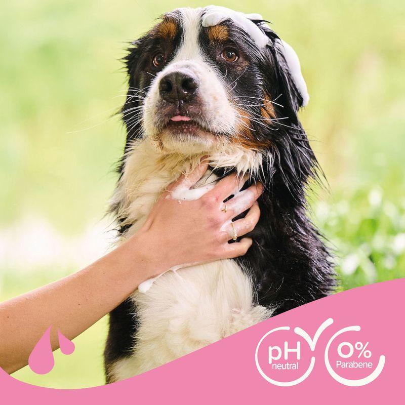 Bitiba Beaphar Shampoo antinodi per cani Nuovo