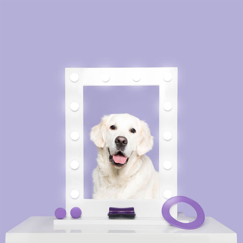 Bitiba Spazzola Pet Teezer De-shedding Brush Convenienza