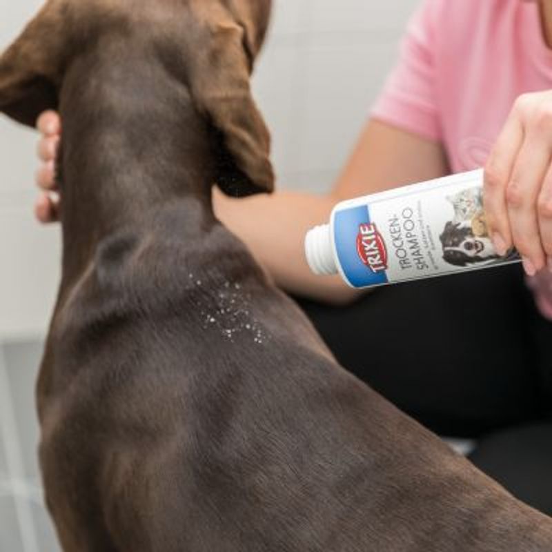 Bitiba Trixie Shampoo secco per cani Vendita Calda