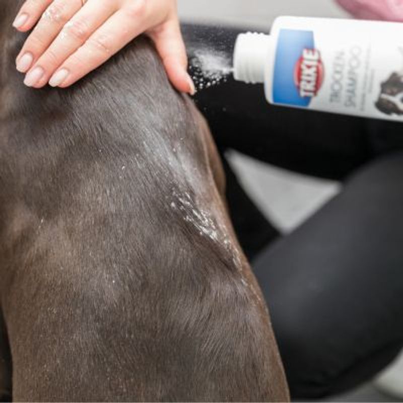 Bitiba Trixie Shampoo secco per cani Vendita Calda