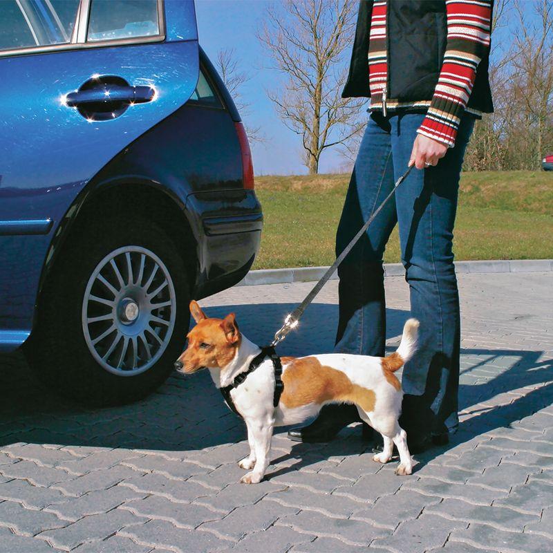 Bitiba Guinzaglio corto per auto Trixie Friends on Tour Vendita Economica