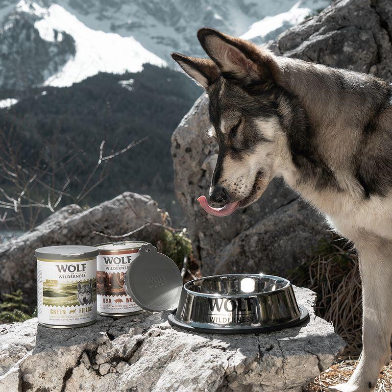 Bitiba Coperchio per lattine Wolf of Wilderness I Più Venduti