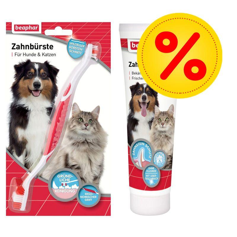 Bitiba Set beaphar per igiene orale di cani e gatti Offerta esclusiva