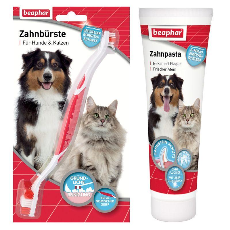 Bitiba Set beaphar per igiene orale di cani e gatti Offerta esclusiva