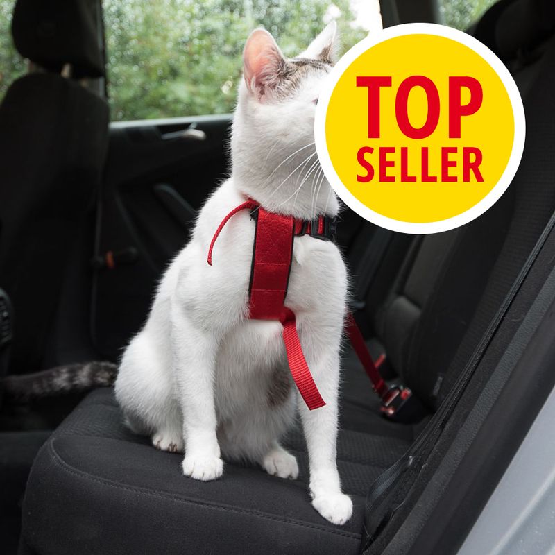 Bitiba Pettorina da automobile per gatti Trixie