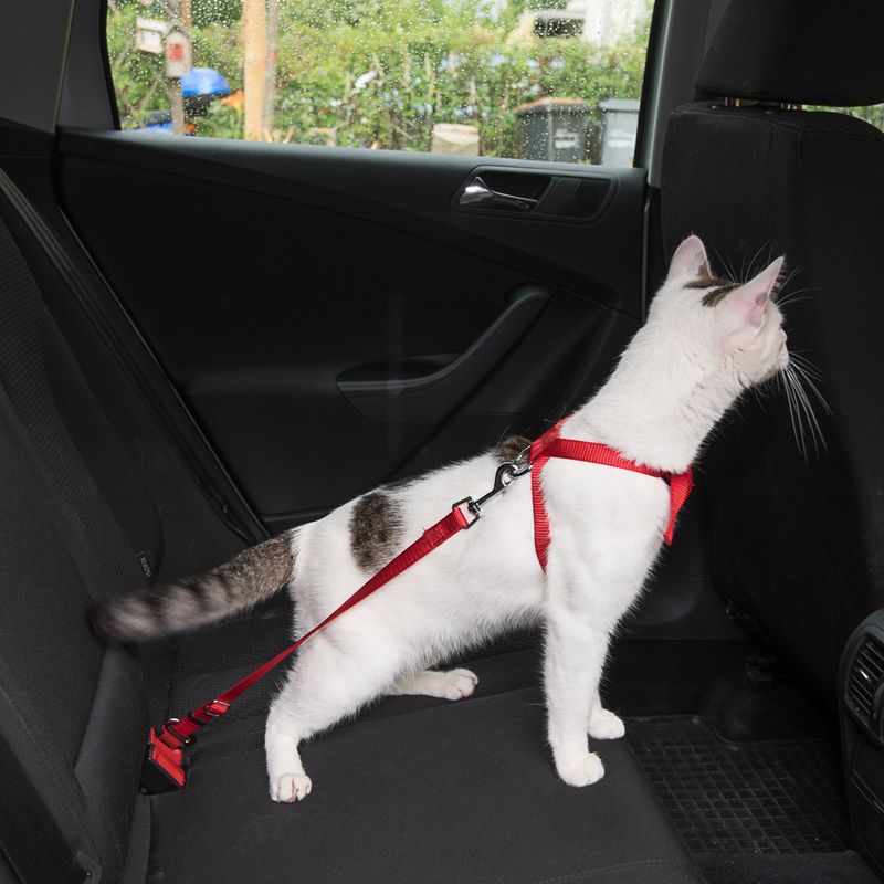 Bitiba Pettorina da automobile per gatti Trixie Vendite stagionali