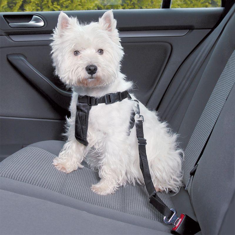 Bitiba Pettorina con cintura di sicurezza per auto Trixie - S Offerta Anniversario