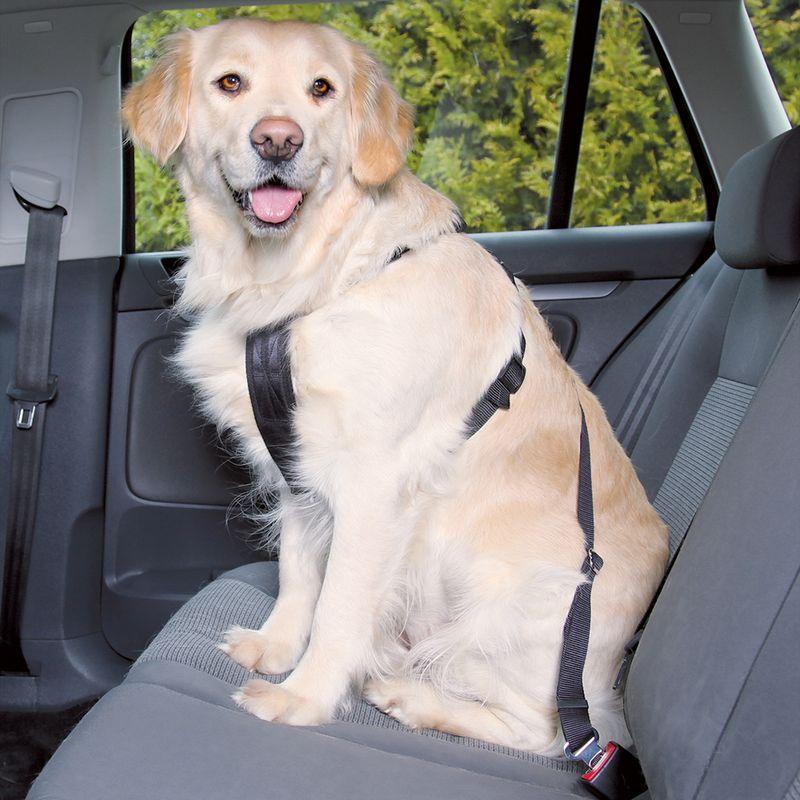 Bitiba Pettorina con cintura di sicurezza per auto Trixie - S Offerta Anniversario