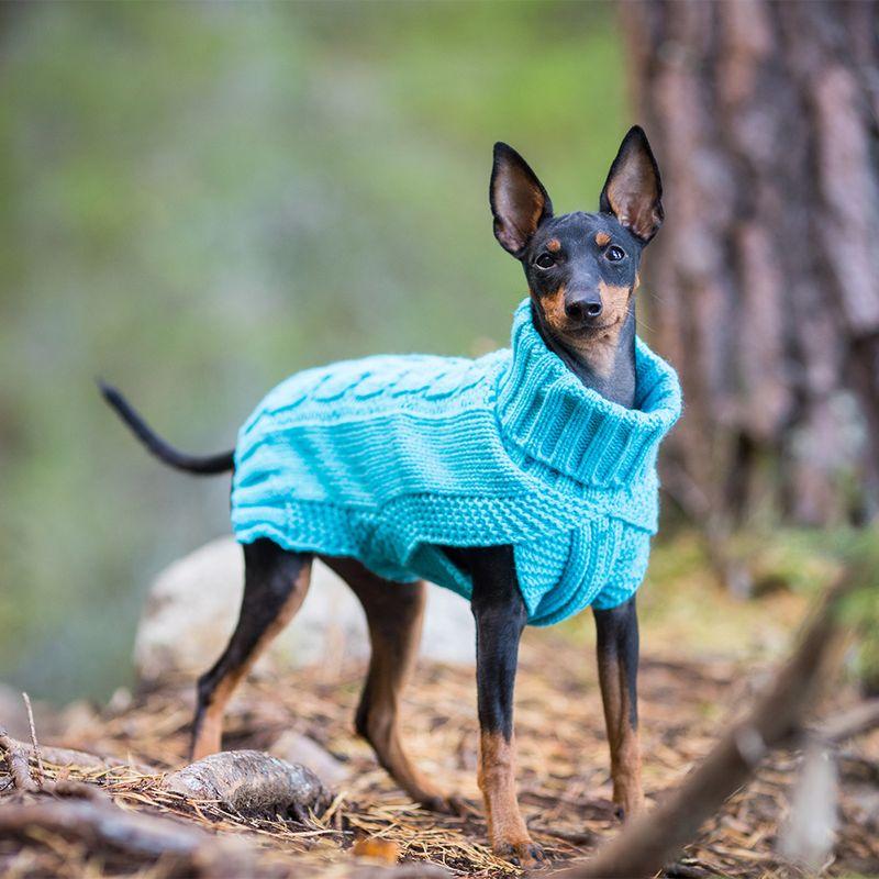 Bitiba Pullover per cani Rukka® Wooly - turchese ACQUISTA ORA