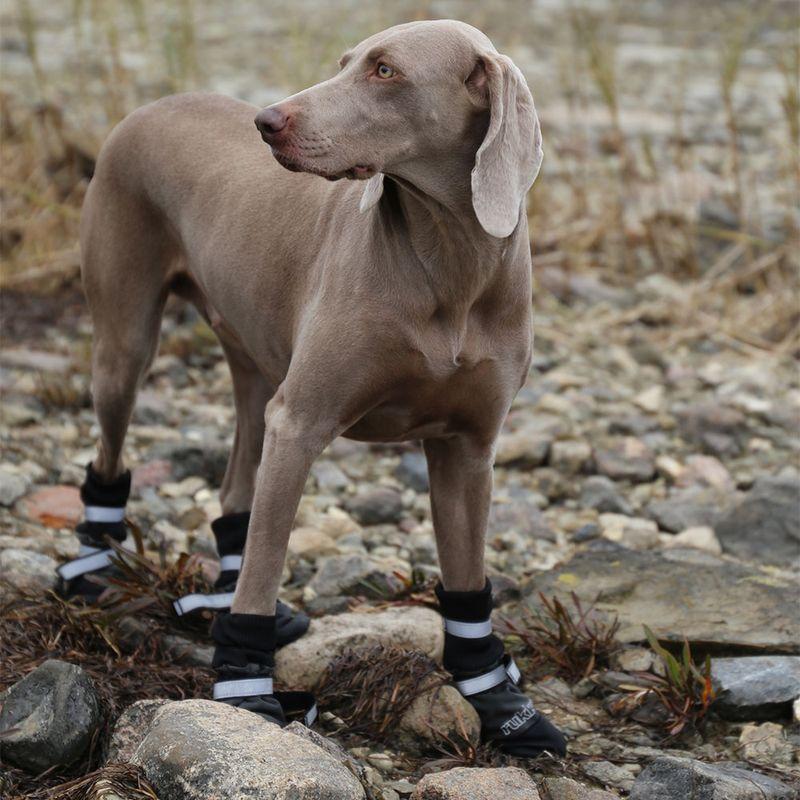 Bitiba Scarpe invernali per cani Rukka® Thermo nere Only for today
