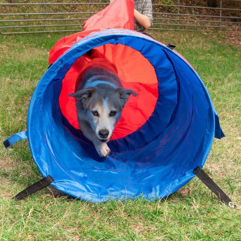 Bitiba Tunnel morbido Agility Fun & Sport In Linea