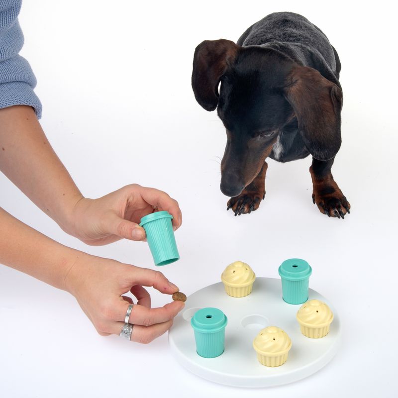 Bitiba Gioco TIAKI Breakfast per cani Qualità