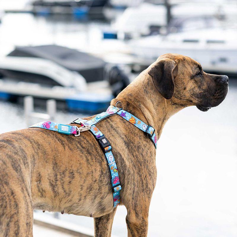 Bitiba Pettorina ad H Max & Molly Blue Ocean Qualità Garantita