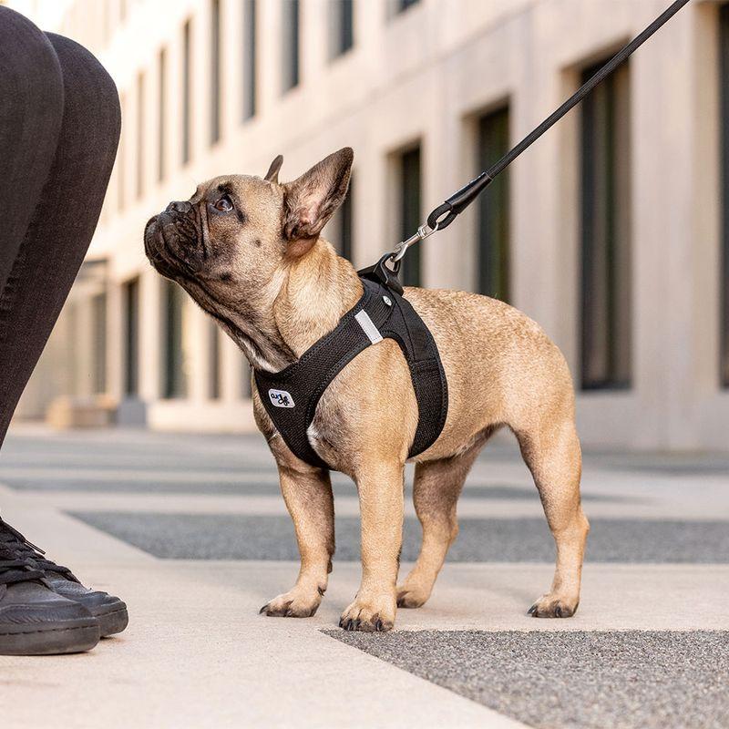 Bitiba Pettorina curli Vest Clasp Air-Mesh - nera Hotsell