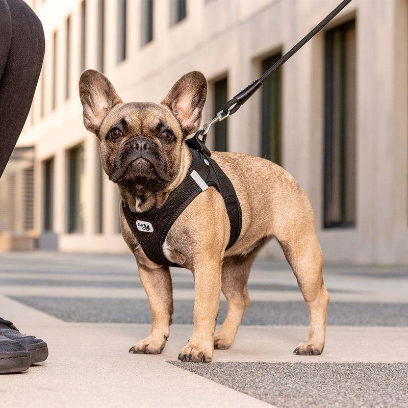 Bitiba Pettorina curli Vest Clasp Air-Mesh - nera Hotsell