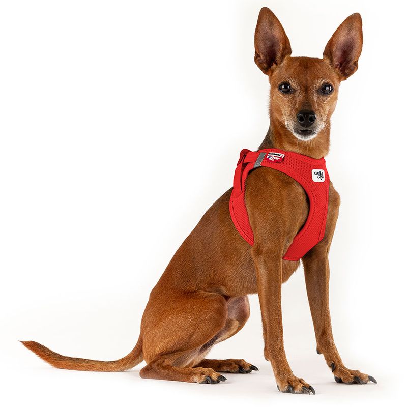 Bitiba Pettorina curli Vest Clasp Air-Mesh - rossa Vendita Calda