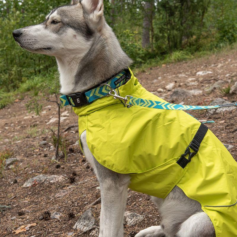 Bitiba Guinzaglio Icepeak Pet® Live aqua Vendita Economica