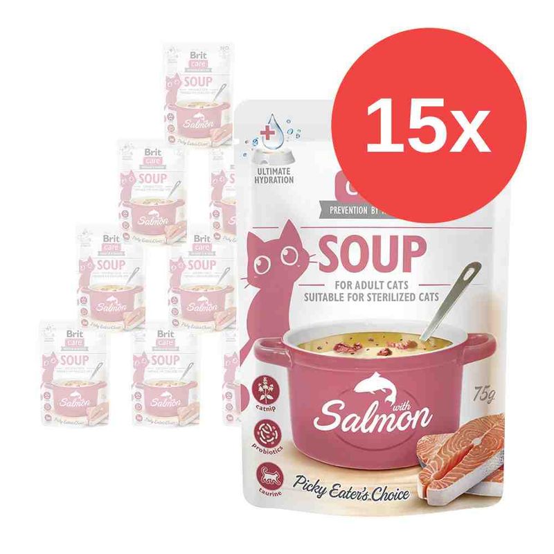 Bitiba Brit Care Soup 15 x 75 g umido gatto