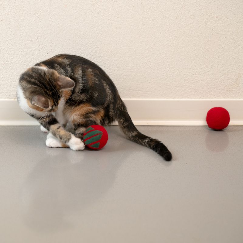Bitiba Palline di lana Modern Living Laponia per gatto Prezzo di fabbrica