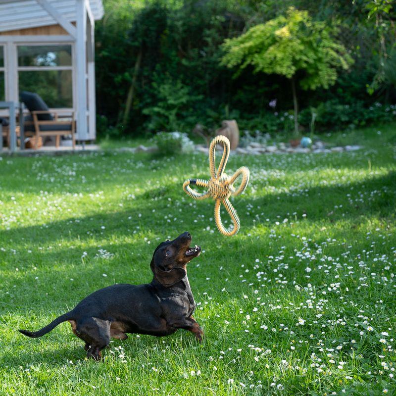 Bitiba Gioco per cani Nomad Tales Spirit Palla volante in corda Comprare a buon mercato
