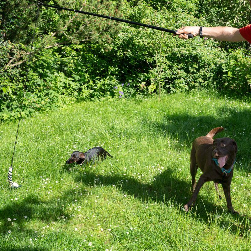 Bitiba Gioco per cani Nomad Tales XL Teaser Shopping online
