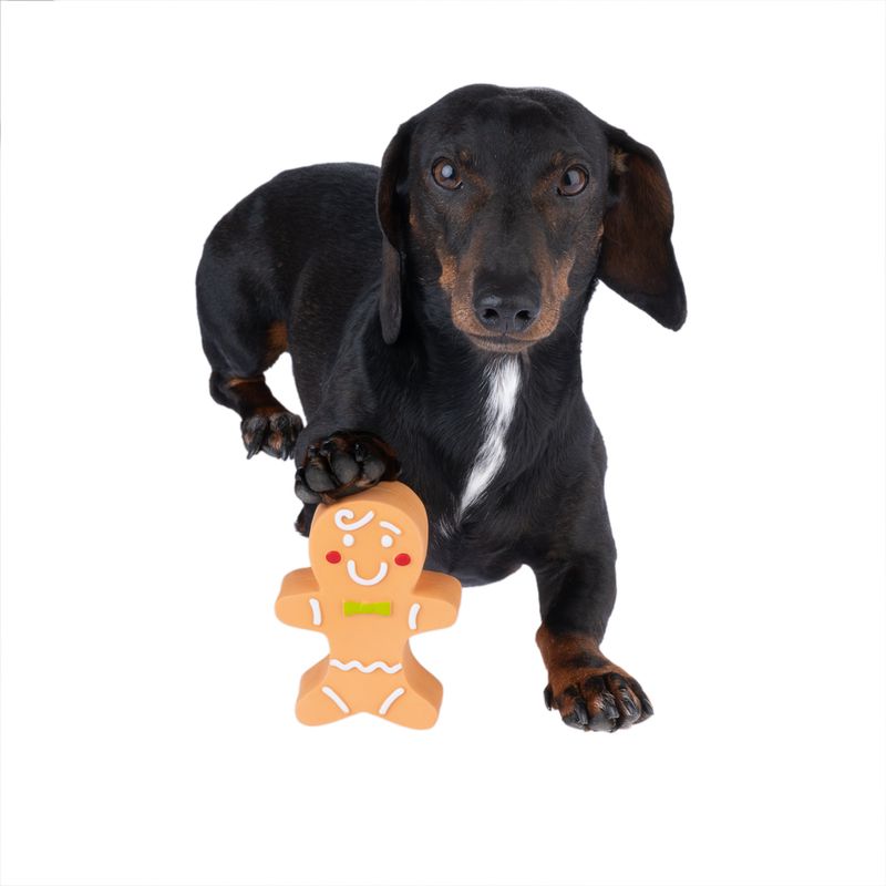 Bitiba Gioco per cani TIAKI Pan di zenzero Vendite stagionali