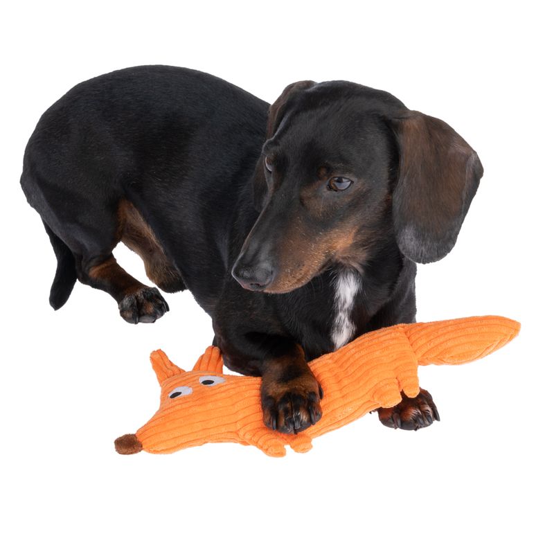 Bitiba Gioco per cani TIAKI James Corduroy Smaltimento dello stoccaggio