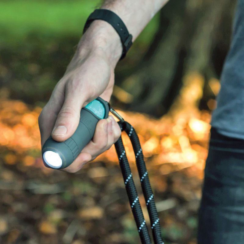 Bitiba KONG HandiPOD Mini Dispenser di sacchetti igienici & Torcia Liquidazione