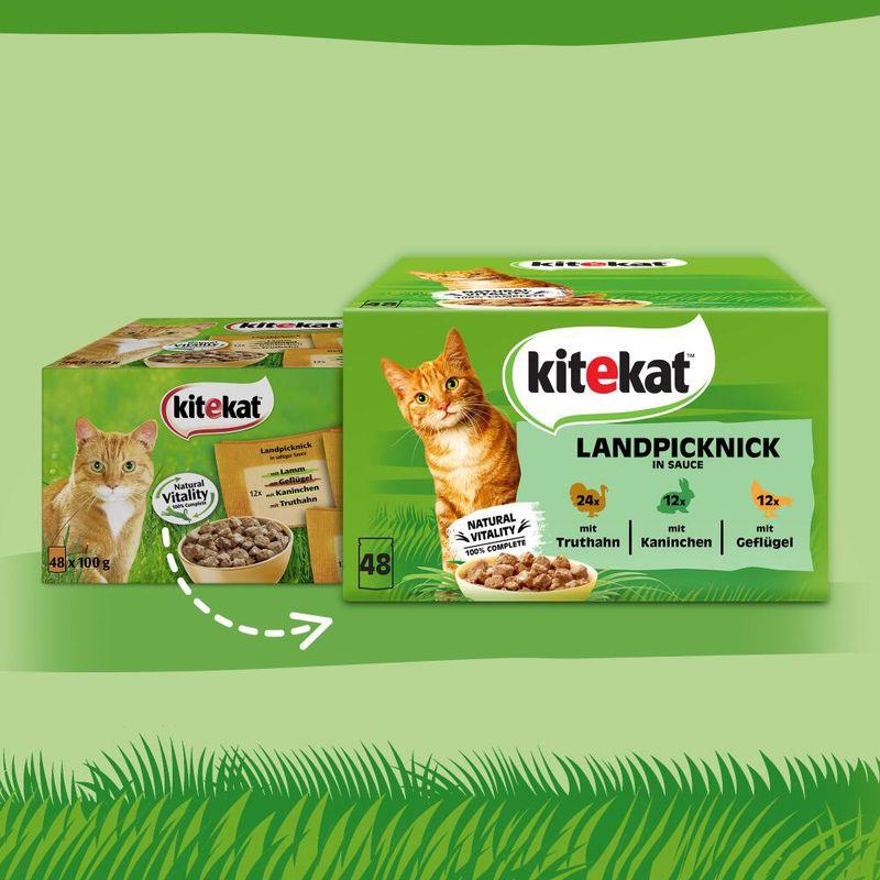 Bitiba Kitekat in buste 48 x 85 g Umido per gatto 50% di sconto con spedizione gratuita