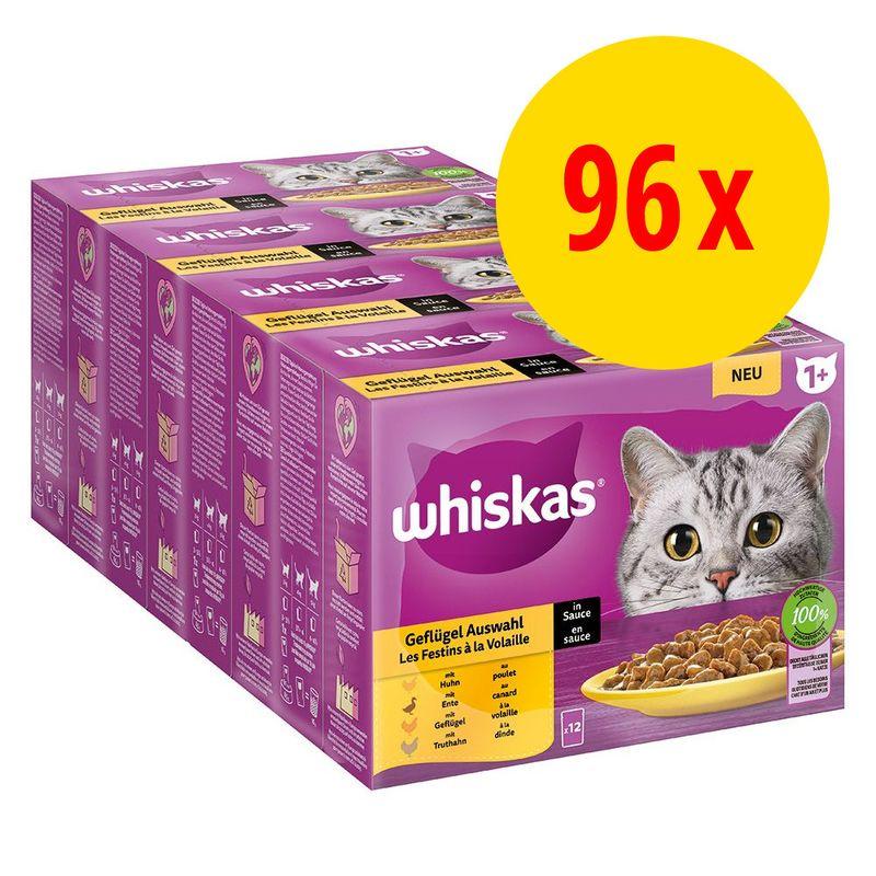 Bitiba Megapack Whiskas 1+ buste 96 x 85 g Alimento umido per gatto Black Friday Prezzi