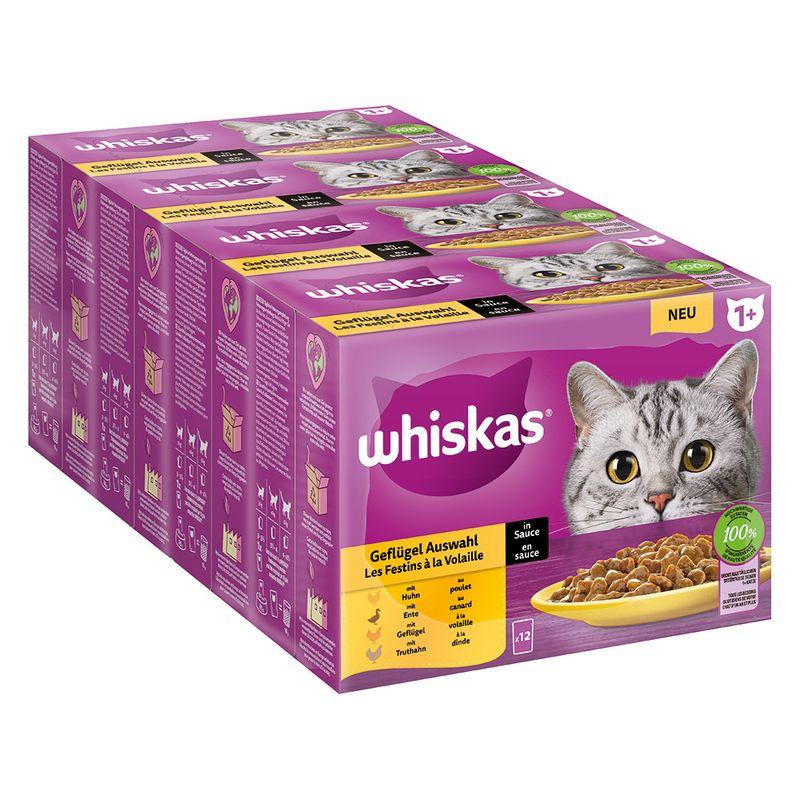 Bitiba Megapack Whiskas 1+ buste 96 x 85 g Alimento umido per gatto Black Friday Prezzi