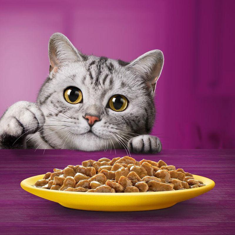 Bitiba Megapack Whiskas 1+ buste 96 x 85 g Alimento umido per gatto Black Friday Prezzi