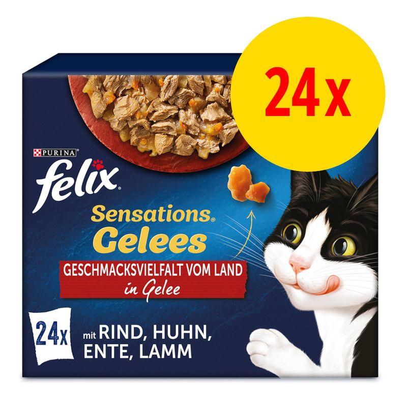Bitiba Fai scorta Felix Sensations in Gelatina 24 x 85 g 2025