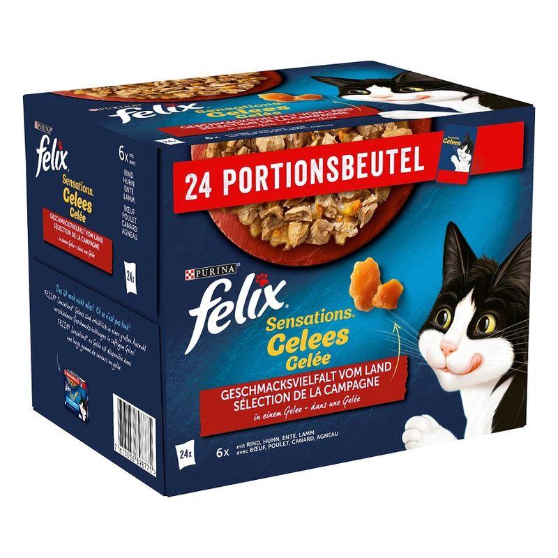 Bitiba Fai scorta Felix Sensations in Gelatina 24 x 85 g 2025