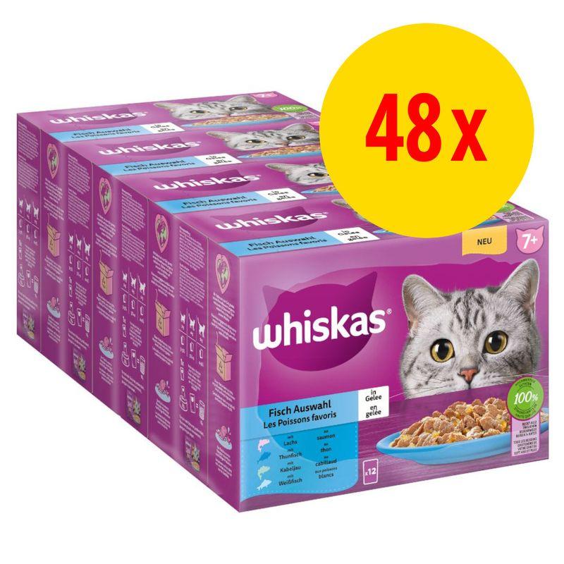Bitiba Whiskas Senior buste 48 x 85 g Alimento umido per gatti