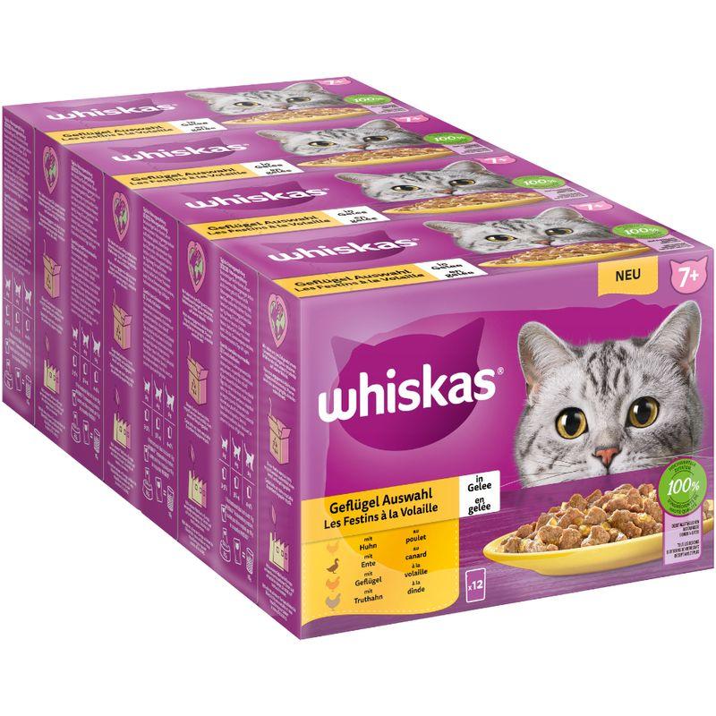 Bitiba Whiskas Senior buste 48 x 85 g Alimento umido per gatti Vendita