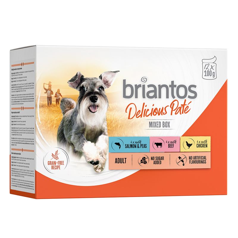 Bitiba Briantos Delicious Paté 48 x 100 g Umido per cane