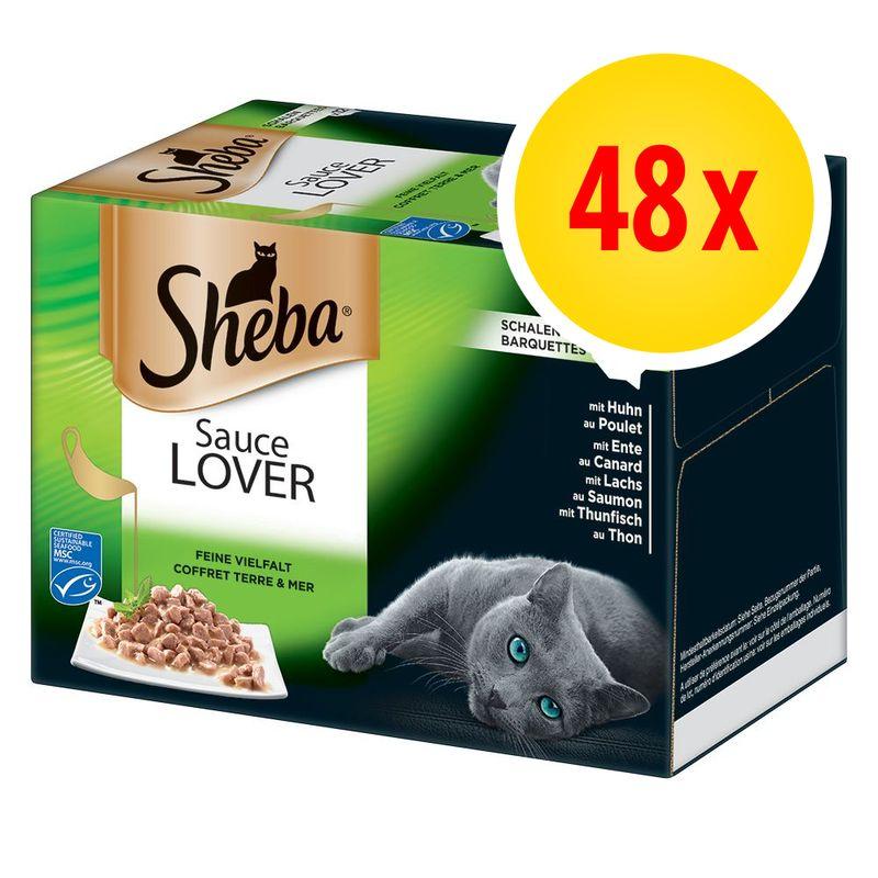 Bitiba Fai scorta Sheba vaschette 48 x 85 g Presa
