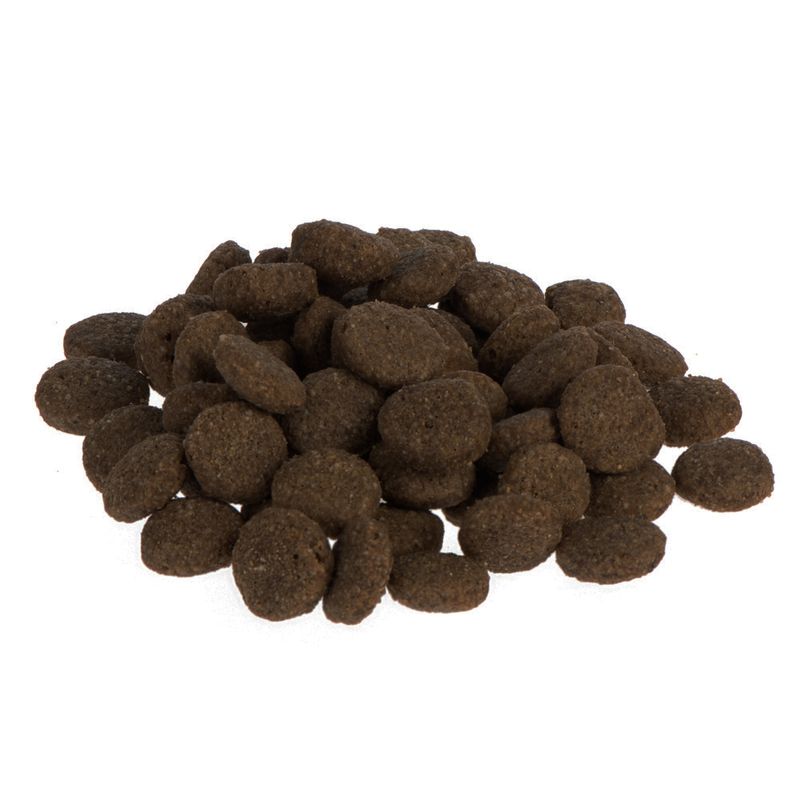 Bitiba Fai scorta Purizon Single Meat Adult 2 x 12 kg Crocchette per cani Flash Sale