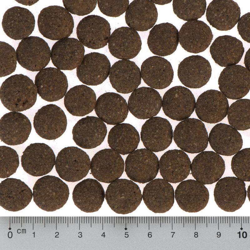 Bitiba Fai scorta Purizon Single Meat Adult 2 x 12 kg Crocchette per cani Flash Sale