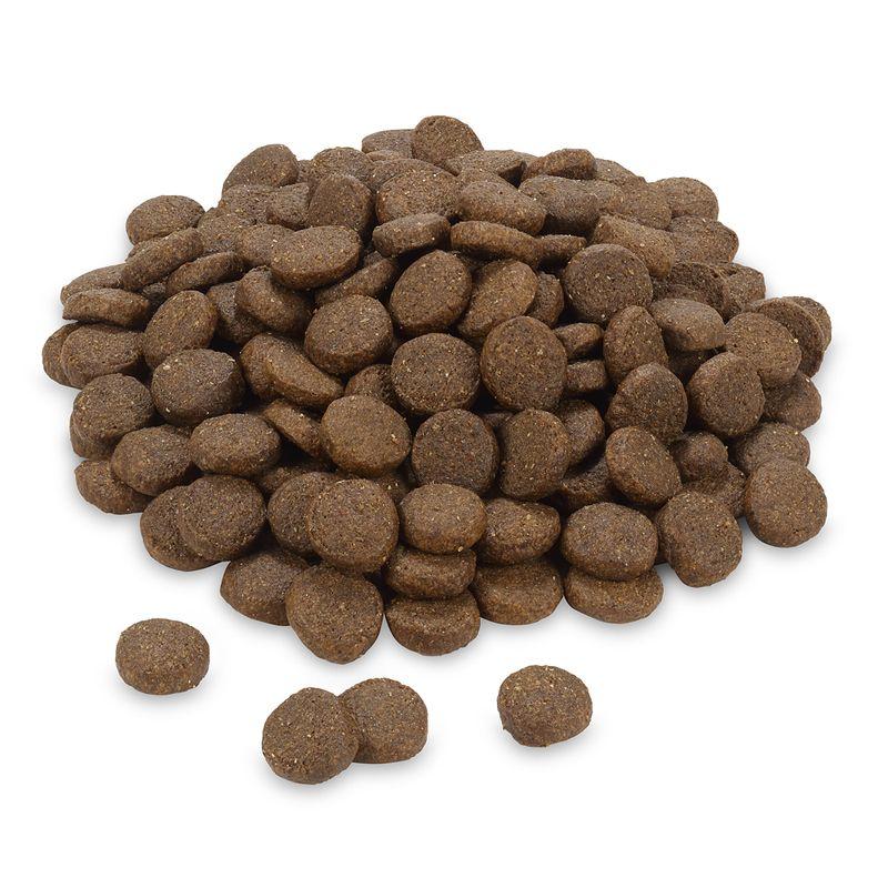 Bitiba Fai scorta Greenwoods 2 x 12 kg Crocchette per cani Vendite stagionali