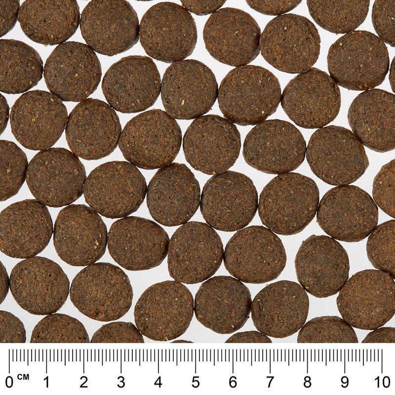 Bitiba Fai scorta Greenwoods 2 x 12 kg Crocchette per cani Vendite stagionali