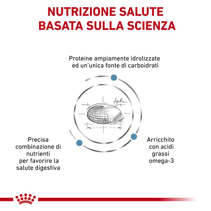 Bitiba Royal Canin Hypoallergenic Canine Veterinary Crocchette per cani Offerta migliore