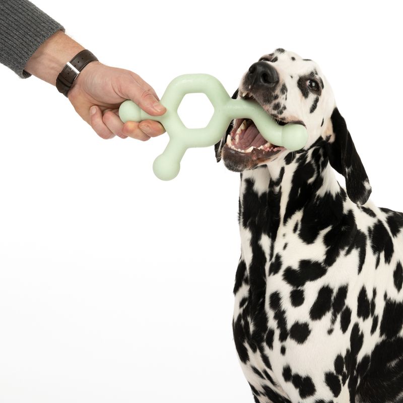 Bitiba Nomad Tales Bloom Giocattolo per cani Molecule Fino al 60% di sconto
