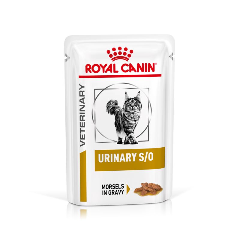Bitiba Royal Canin Urinary S/O Feline Veterinary in Salsa umido per gatti