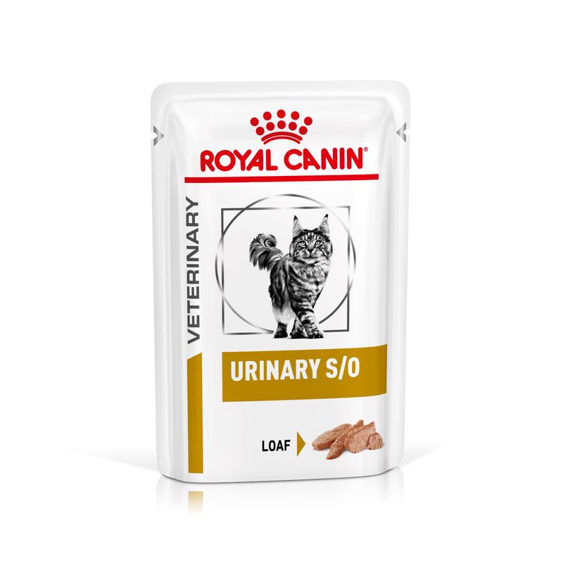Bitiba Royal Canin Urinary S/O Feline Veterinary in Salsa umido per gatti Enormi sconti