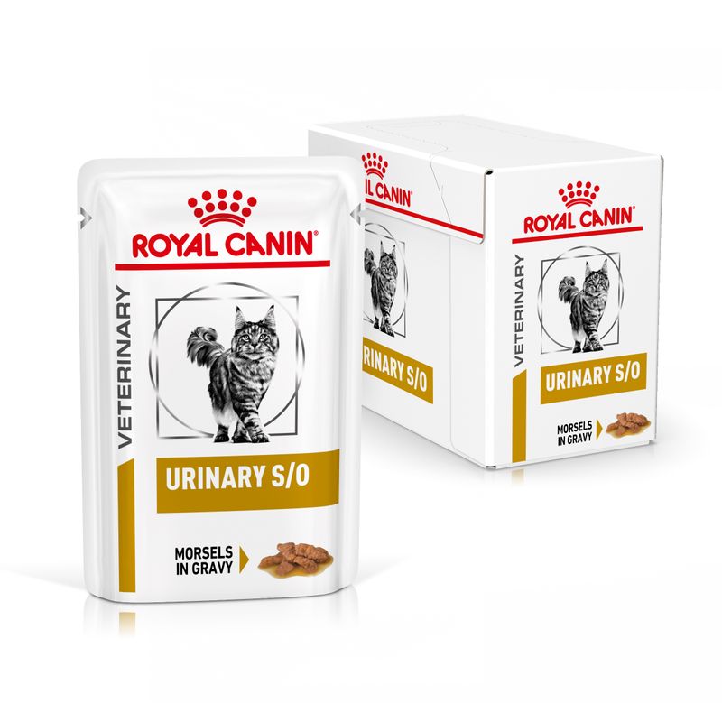 Bitiba Royal Canin Urinary S/O Feline Veterinary in Salsa umido per gatti Enormi sconti