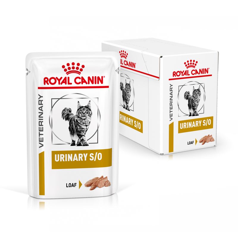 Bitiba Royal Canin Urinary S/O Feline Veterinary in Salsa umido per gatti Enormi sconti