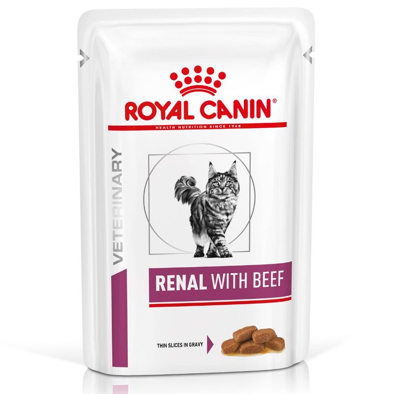 Bitiba Royal Canin Renal Feline Veterinary Alimento umido per gatti Trasporto libero internazionale