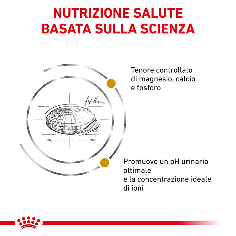 Bitiba Royal Canin Veterinary Feline Urinary S/O Crocchette per gatto Limitato a 3 giorni